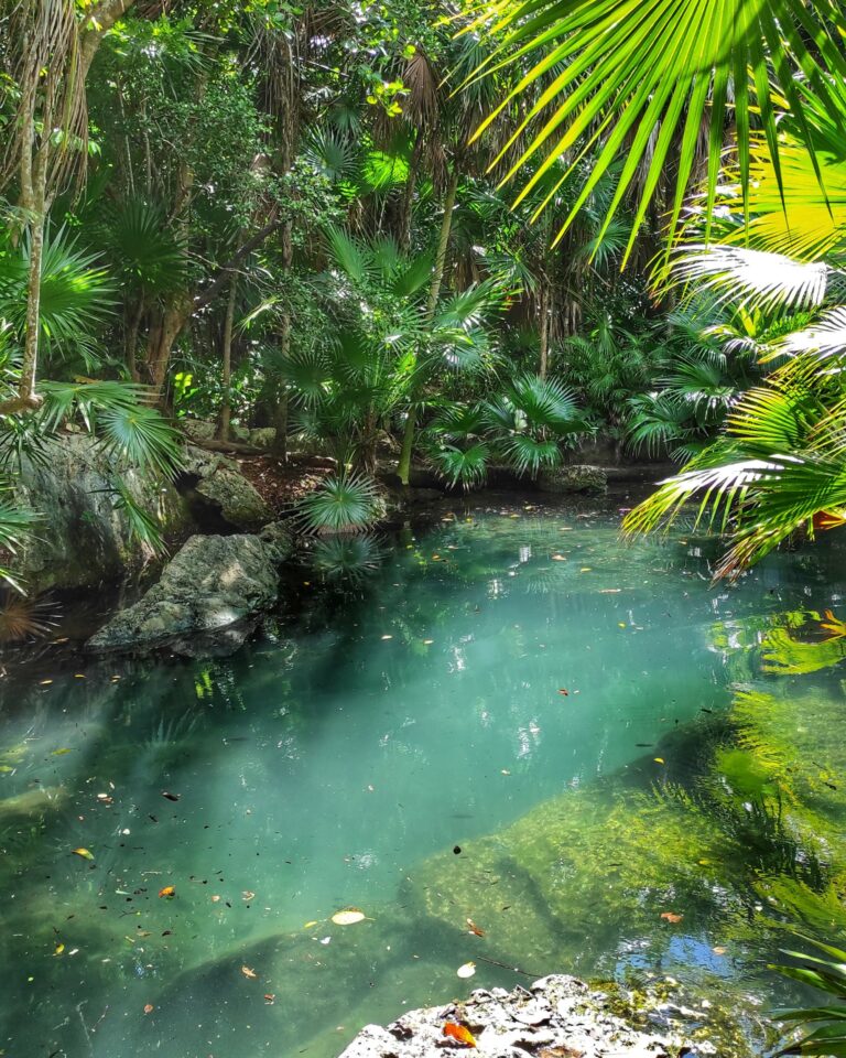 Mexiko_cenotes: Mexiko tipy_ príroda
