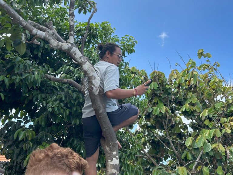 Bežný život na Bali_turisti